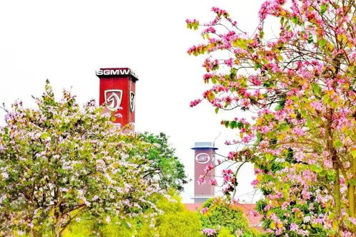 神奇汽車工廠之旅 探秘品牌背后的故事