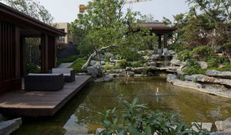 泰禾院子系產品 新中式院落別墅景觀設計的藝術與意境